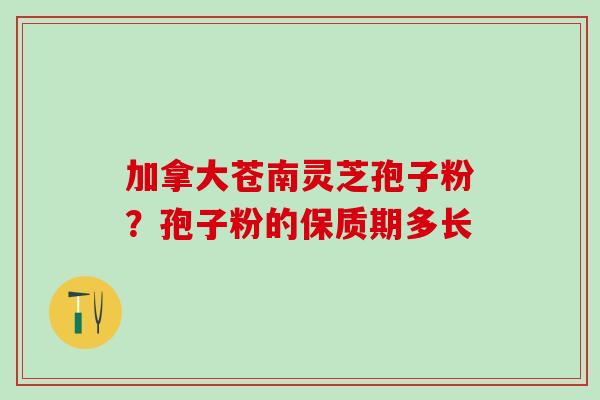 加拿大苍南灵芝孢子粉？孢子粉的保质期多长