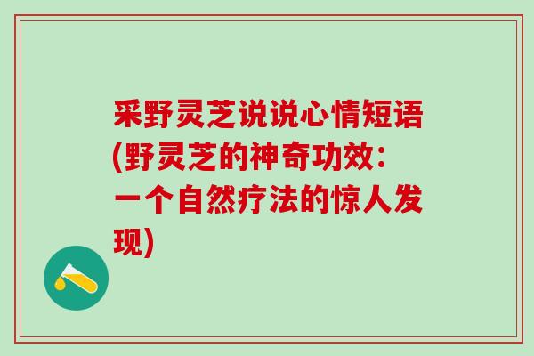 采野灵芝说说心情短语(野灵芝的神奇功效：一个自然疗法的惊人发现)