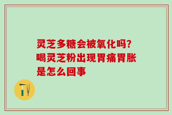 灵芝多糖会被氧化吗？喝灵芝粉出现胃痛胃胀是怎么回事