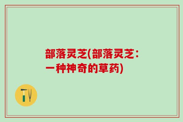 部落灵芝(部落灵芝：一种神奇的草药)