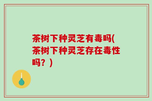 茶树下种灵芝有毒吗(茶树下种灵芝存在毒性吗？)