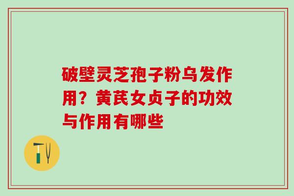 破壁灵芝孢子粉乌发作用？黄芪女贞子的功效与作用有哪些