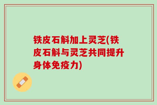 铁皮石斛加上灵芝(铁皮石斛与灵芝共同提升身体免疫力)