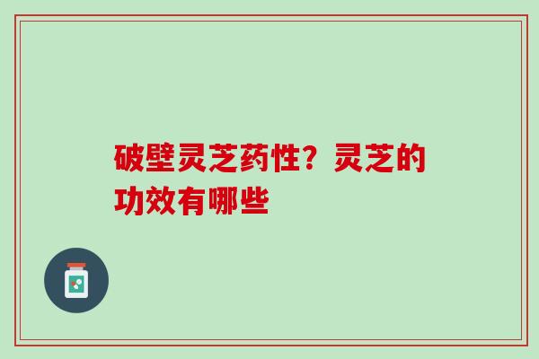 破壁灵芝药性？灵芝的功效有哪些