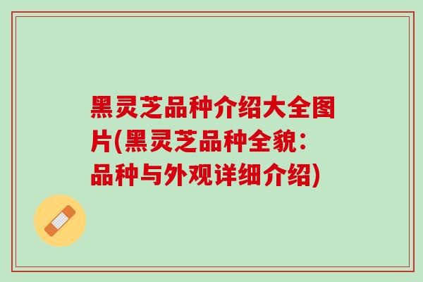 黑灵芝品种介绍大全图片(黑灵芝品种全貌:品种与外观详细介绍) 黑灵芝品种介绍大全图片(黑灵芝品种全貌:品种与外观详细介绍)