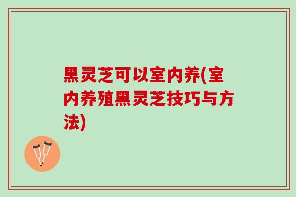 黑灵芝可以室内养(室内养殖黑灵芝技巧与方法)