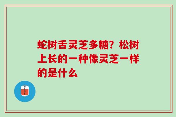 蛇树舌灵芝多糖?松树上长的一种像灵芝一样的是什么 蛇树舌灵芝多糖?松树上长的一种像灵芝一样的是什么