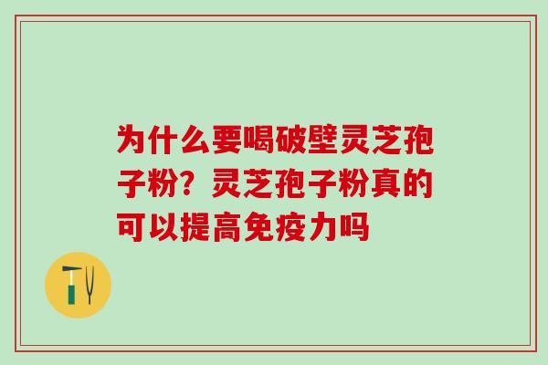 为什么要喝破壁灵芝孢子粉？灵芝孢子粉真的可以提高免疫力吗
