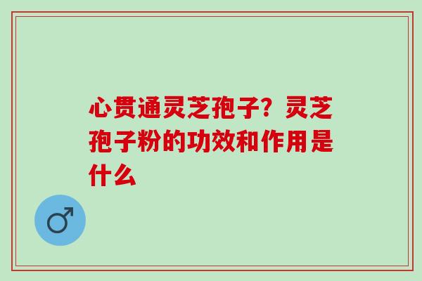心贯通灵芝孢子？灵芝孢子粉的功效和作用是什么