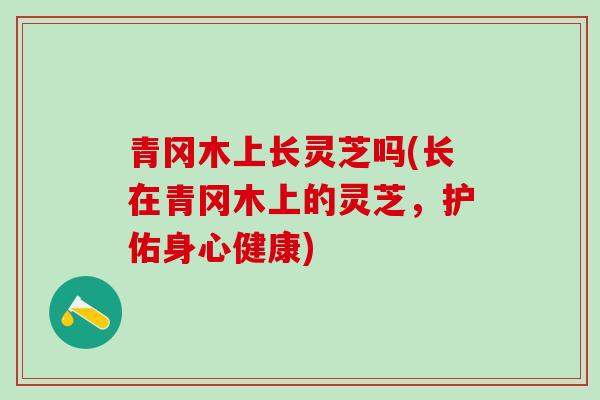 青冈木上长灵芝吗(长在青冈木上的灵芝，护佑身心健康)