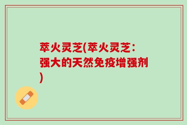 萃火灵芝(萃火灵芝：强大的天然免疫增强剂)