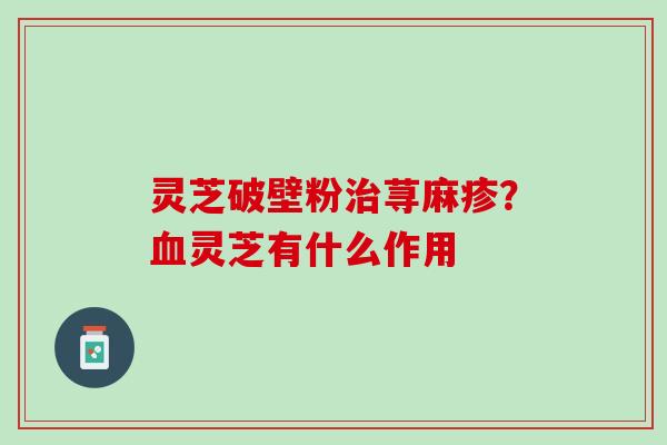 灵芝破壁粉荨麻疹?灵芝有什么作用 灵芝破壁粉荨麻疹?灵芝有什么作用