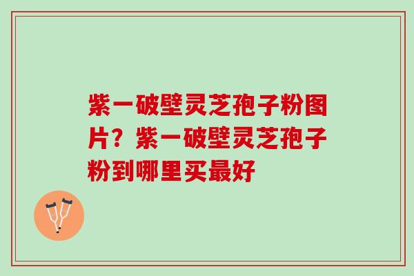 紫一破壁灵芝孢子粉图片？紫一破壁灵芝孢子粉到哪里买最好