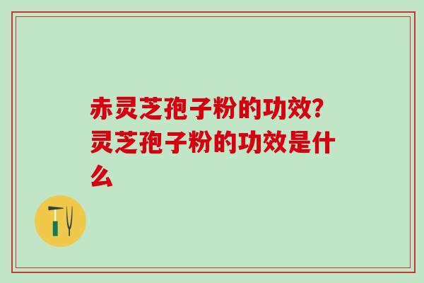 赤灵芝孢子粉的功效？灵芝孢子粉的功效是什么
