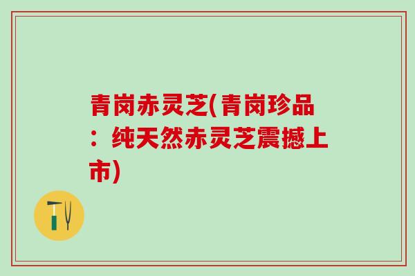 青岗赤灵芝(青岗珍品：纯天然赤灵芝震撼上市)