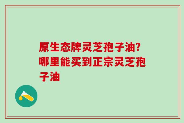 原生态牌灵芝孢子油？哪里能买到正宗灵芝孢子油
