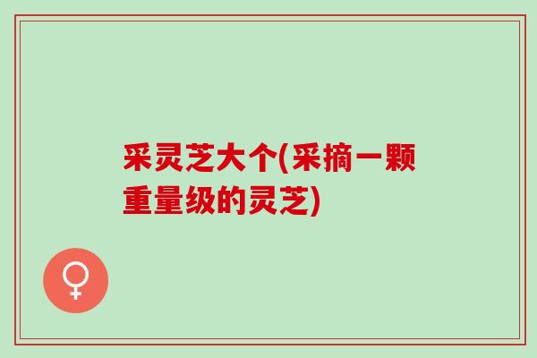 采灵芝大个(采摘一颗重量级的灵芝)