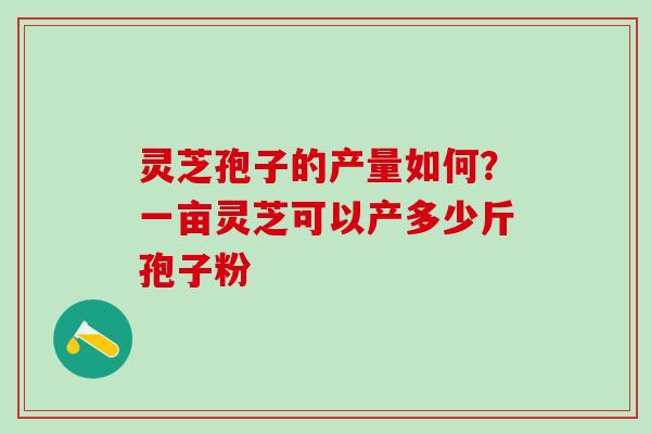 灵芝孢子的产量如何?一亩灵芝可以产多少斤孢子粉 灵芝孢子的产量如何?一亩灵芝可以产多少斤孢子粉
