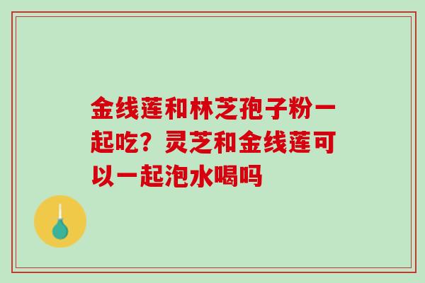 金线莲和林芝孢子粉一起吃？灵芝和金线莲可以一起泡水喝吗