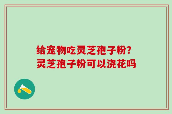 给宠物吃灵芝孢子粉？灵芝孢子粉可以浇花吗