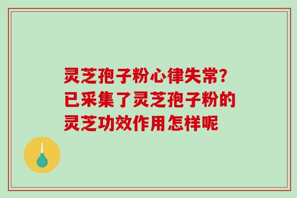 灵芝孢子粉心律失常？已采集了灵芝孢子粉的灵芝功效作用怎样呢