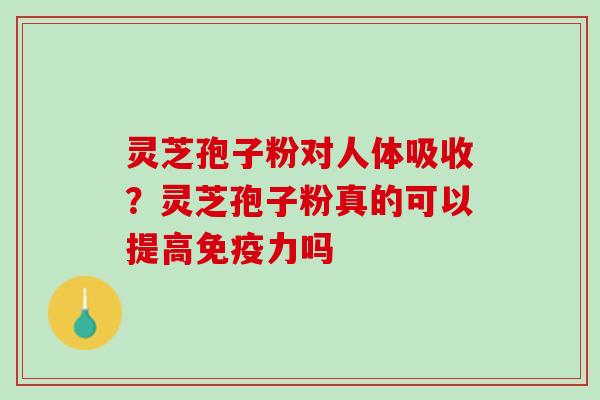 灵芝孢子粉对人体吸收？灵芝孢子粉真的可以提高免疫力吗