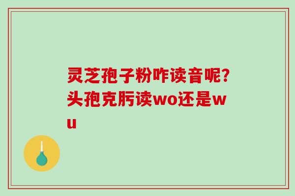 灵芝孢子粉咋读音呢?头孢克肟读wo还是wu 灵芝孢子粉咋读音呢?头孢克肟读wo还是wu