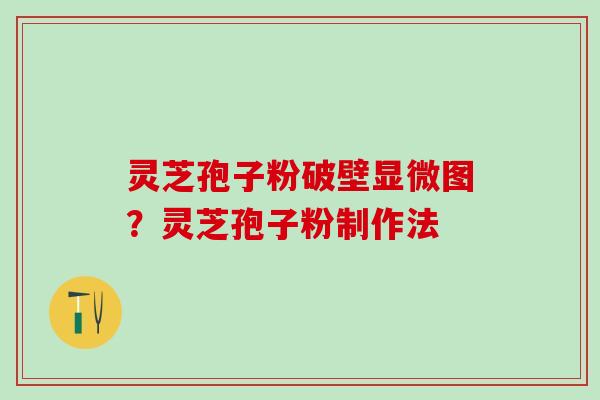 灵芝孢子粉破壁显微图?灵芝孢子粉制作法 灵芝孢子粉破壁显微图?灵芝孢子粉制作法
