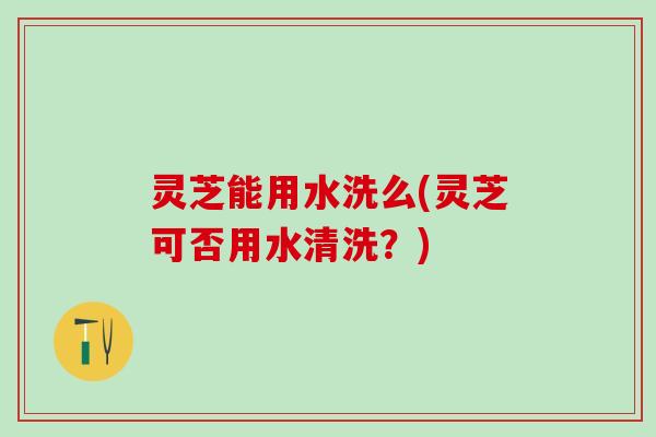 灵芝能用水洗么(灵芝可否用水清洗?) 灵芝能用水洗么(灵芝可否用水清洗?)