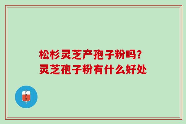 松杉灵芝产孢子粉吗？灵芝孢子粉有什么好处