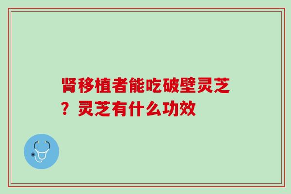 肾移植者能吃破壁灵芝？灵芝有什么功效