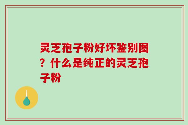 灵芝孢子粉好坏鉴别图？什么是纯正的灵芝孢子粉