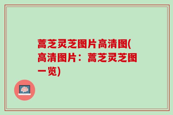 蒿芝灵芝图片高清图(高清图片：蒿芝灵芝图一览)