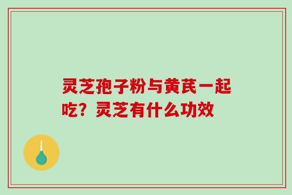 灵芝孢子粉与黄芪一起吃？灵芝有什么功效