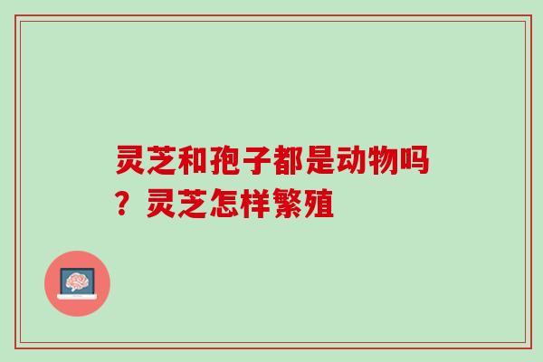 灵芝和孢子都是动物吗？灵芝怎样繁殖