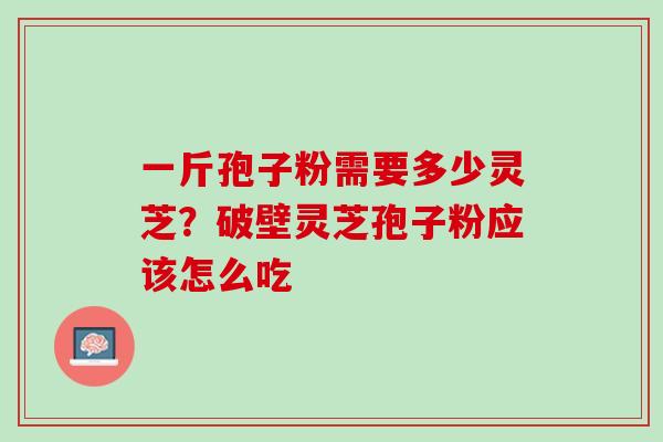 一斤孢子粉需要多少灵芝？破壁灵芝孢子粉应该怎么吃