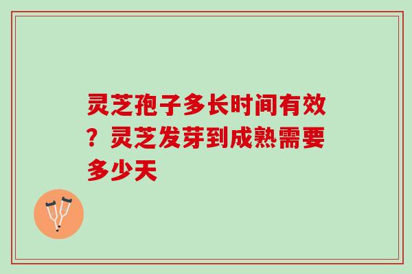 灵芝孢子多长时间有效？灵芝发芽到成熟需要多少天