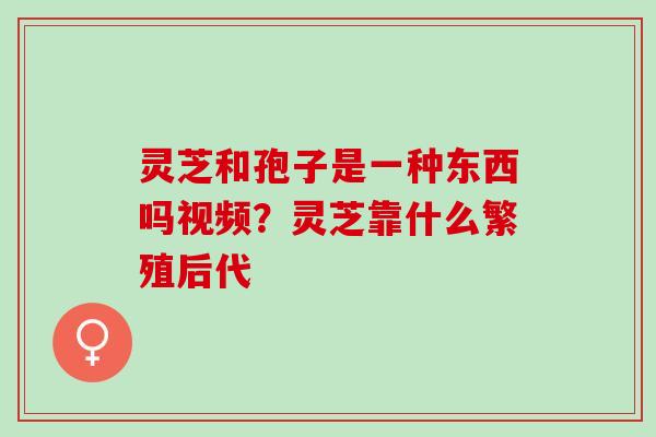 灵芝和孢子是一种东西吗视频?灵芝靠什么繁殖后代 灵芝和孢子是一种东西吗视频?灵芝靠什么繁殖后代