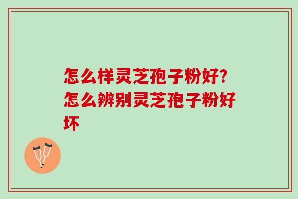 怎么样灵芝孢子粉好？怎么辨别灵芝孢子粉好坏