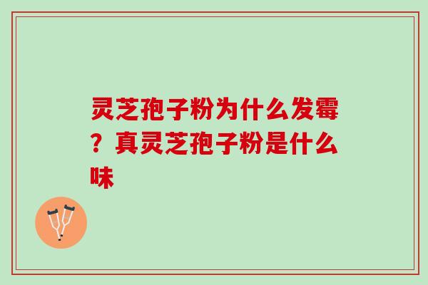 灵芝孢子粉为什么发霉？真灵芝孢子粉是什么味