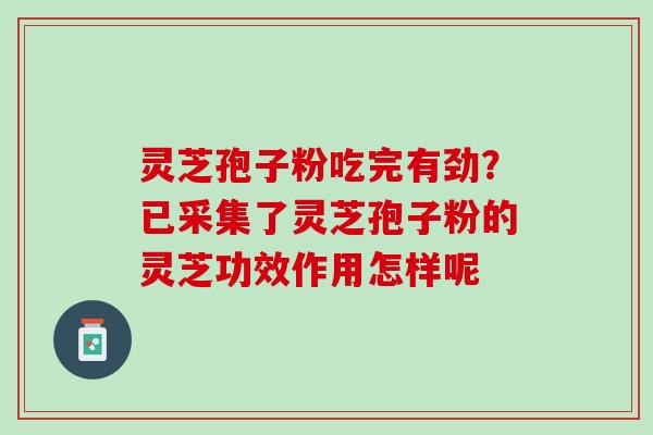 灵芝孢子粉吃完有劲？已采集了灵芝孢子粉的灵芝功效作用怎样呢