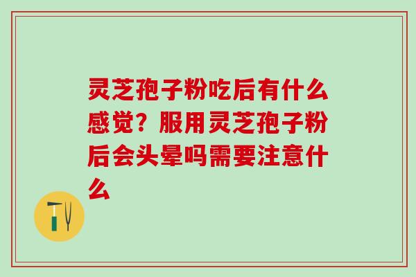 灵芝孢子粉吃后有什么感觉？服用灵芝孢子粉后会头晕吗需要注意什么