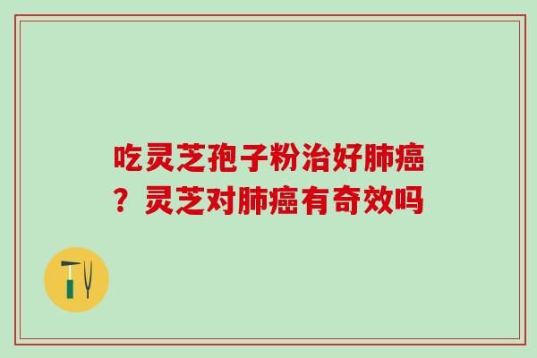 吃灵芝孢子粉好？灵芝对有奇效吗