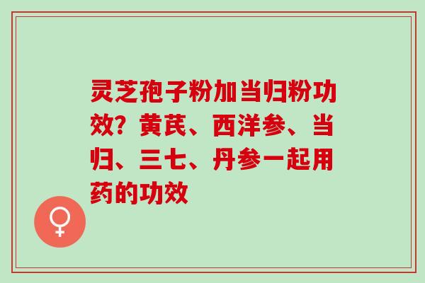 灵芝孢子粉加当归粉功效?黄芪、西洋参、当归、三七、丹参一起用药的功效 灵芝孢子粉加当归粉功效?黄芪、西洋参、当归、三七、丹参一起用药的功效