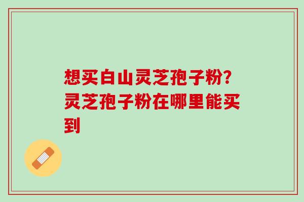 想买白山灵芝孢子粉？灵芝孢子粉在哪里能买到