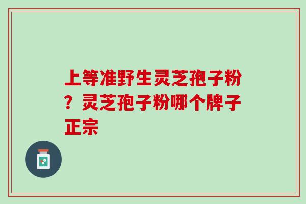 上等准野生灵芝孢子粉？灵芝孢子粉哪个牌子正宗