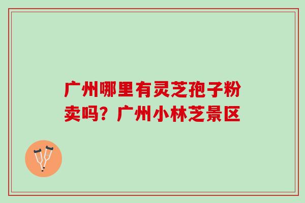 广州哪里有灵芝孢子粉卖吗？广州小林芝景区