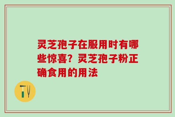 灵芝孢子在服用时有哪些惊喜？灵芝孢子粉正确食用的用法