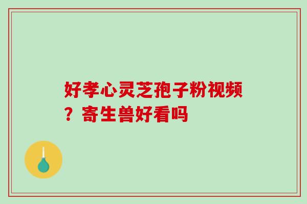 好孝心灵芝孢子粉视频？寄生兽好看吗