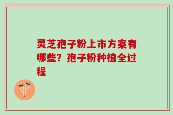 灵芝孢子粉上市方案有哪些？孢子粉种植全过程